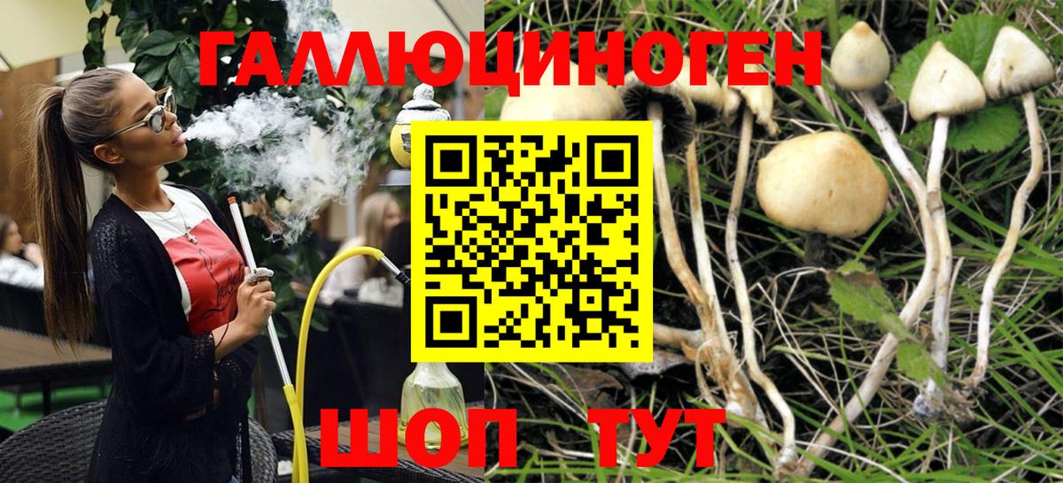 Псилоцибиновые грибы Cubensis Наро-Фоминск