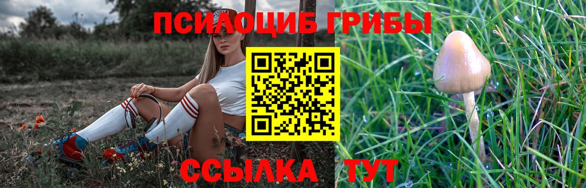 Галлюциногенные грибы мицелий  Псилоцибиновые грибы MAGIC MUSHROOMS  Наро-Фоминск  Вход с VPN 